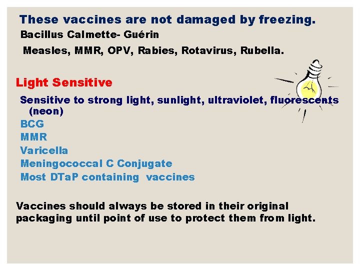 These vaccines are not damaged by freezing. Bacillus Calmette- Guérin Measles, MMR, OPV, Rabies,