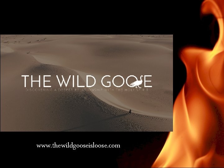 http: // www. thewildgooseisloose. com 