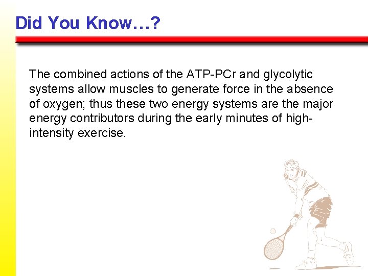 Did You Know…? The combined actions of the ATP-PCr and glycolytic systems allow muscles