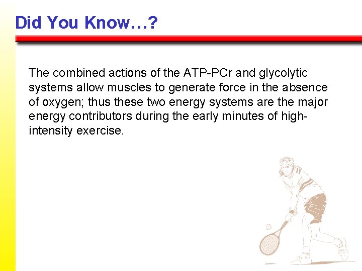 Did You Know…? The combined actions of the ATP-PCr and glycolytic systems allow muscles Did You Know…? The combined actions of the ATP-PCr and glycolytic systems allow muscles