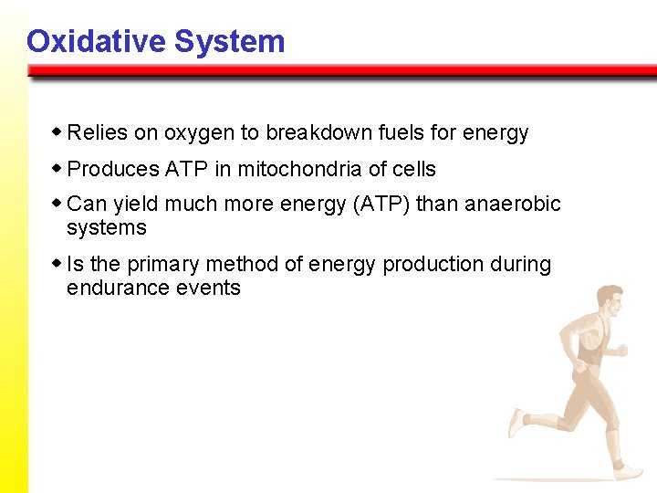 Oxidative System w Relies on oxygen to breakdown fuels for energy w Produces ATP