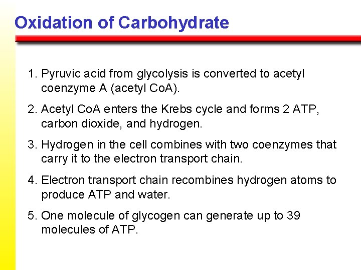 Oxidation of Carbohydrate 1. Pyruvic acid from glycolysis is converted to acetyl coenzyme A
