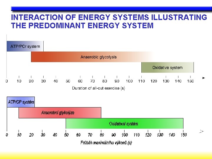 INTERACTION OF ENERGY SYSTEMS ILLUSTRATING THE PREDOMINANT ENERGY SYSTEM INTERACTION OF ENERGY SYSTEMS ILLUSTRATING THE PREDOMINANT ENERGY SYSTEM