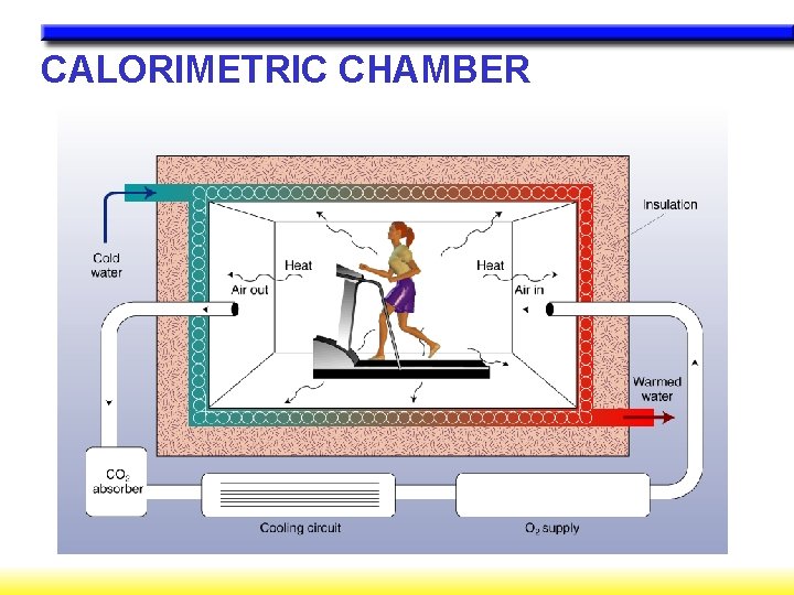 CALORIMETRIC CHAMBER CALORIMETRIC CHAMBER