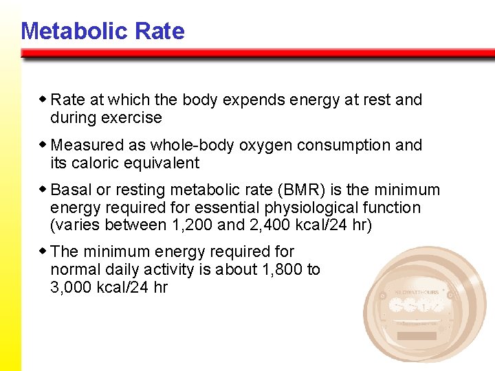 Metabolic Rate w Rate at which the body expends energy at rest and during