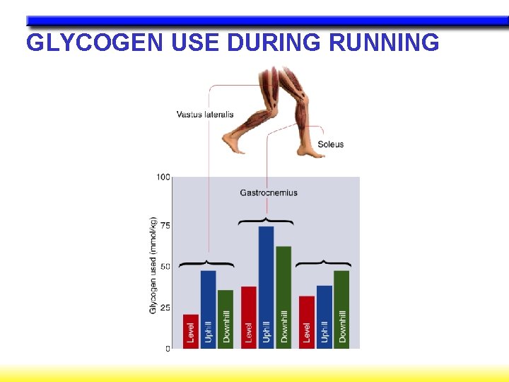GLYCOGEN USE DURING RUNNING GLYCOGEN USE DURING RUNNING