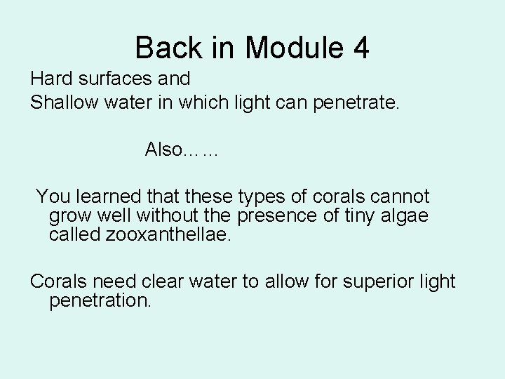 Back in Module 4 Hard surfaces and Shallow water in which light can penetrate.