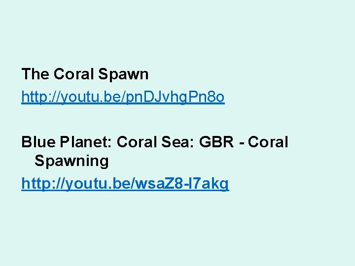 The Coral Spawn http: //youtu. be/pn. DJvhg. Pn 8 o Blue Planet: Coral Sea: