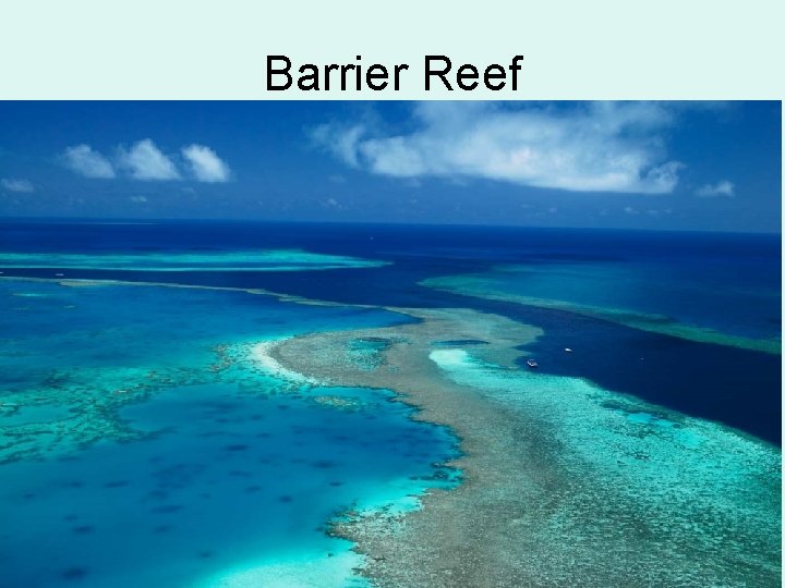 Barrier Reef 