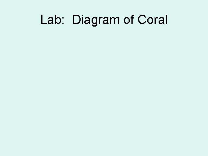 Lab: Diagram of Coral 
