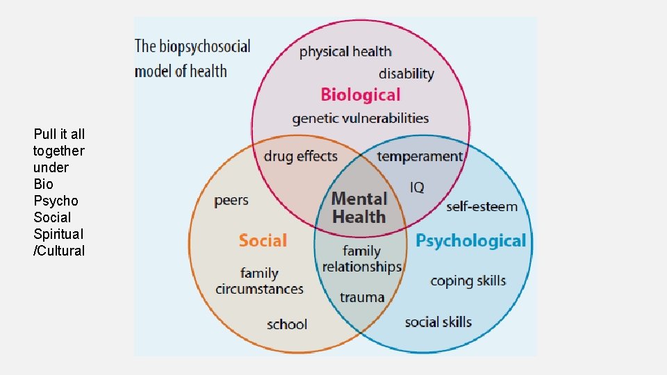 Pull it all together under Bio Psycho Social Spiritual /Cultural 