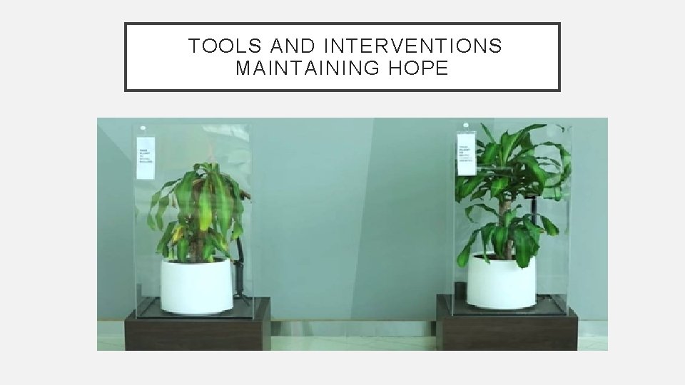 TOOLS AND INTERVENTIONS MAINTAINING HOPE 