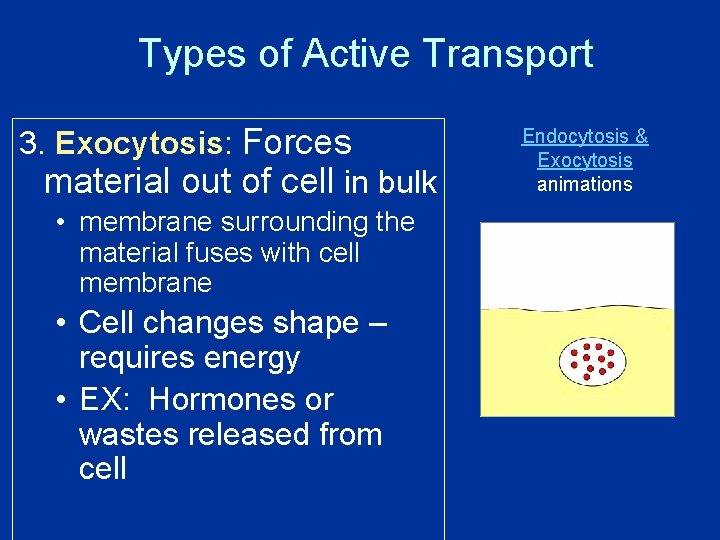 Types of Active Transport 3. Exocytosis: Forces material out of cell in bulk •