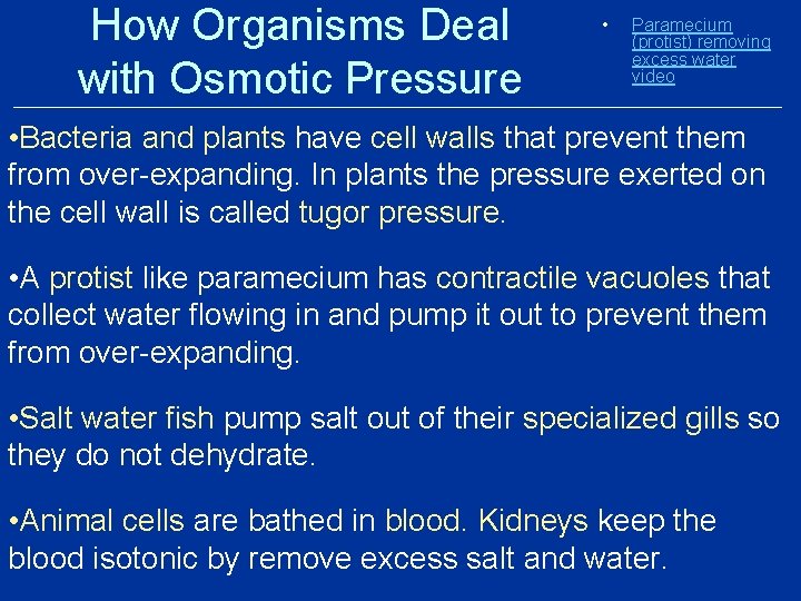 How Organisms Deal with Osmotic Pressure • Paramecium (protist) removing excess water video •