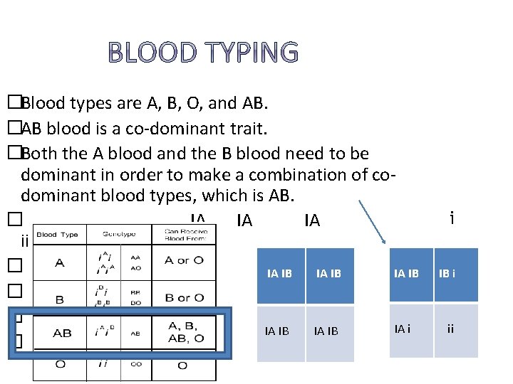 �Blood types are A, B, O, and AB. �AB blood is a co-dominant trait.