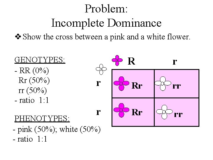 Problem: Incomplete Dominance v Show the cross between a pink and a white flower.