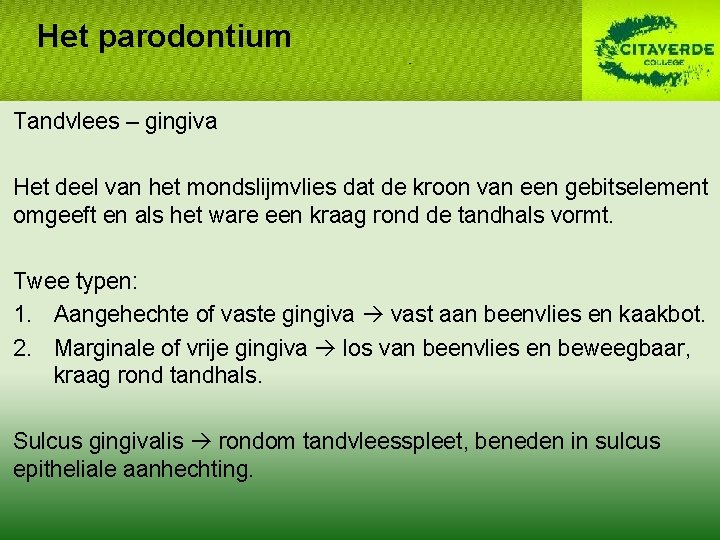 Het parodontium Tandvlees – gingiva Het deel van het mondslijmvlies dat de kroon van