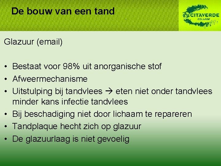 De bouw van een tand Glazuur (email) • Bestaat voor 98% uit anorganische stof