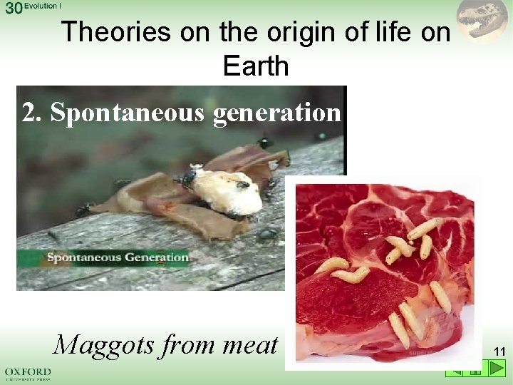 Theories on the origin of life on Earth 2. Spontaneous generation Maggots from meat