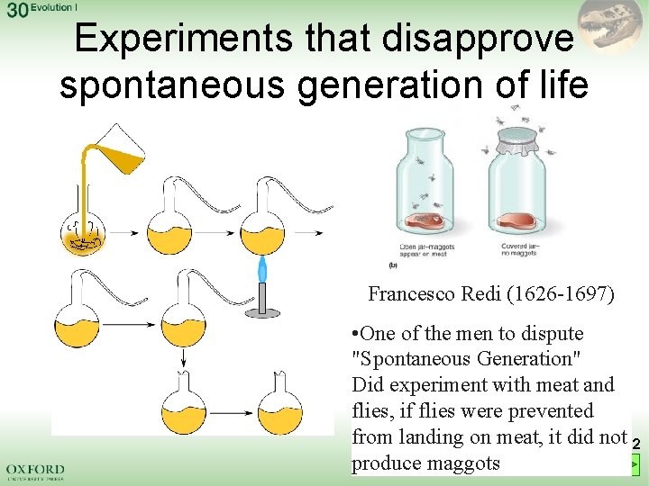 Experiments that disapprove spontaneous generation of life Francesco Redi (1626 -1697) • One of