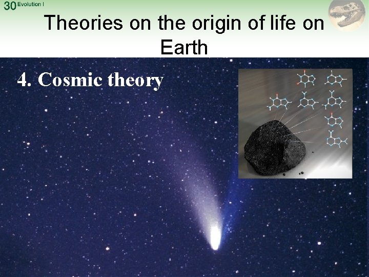 Theories on the origin of life on Earth 4. Cosmic theory 13 