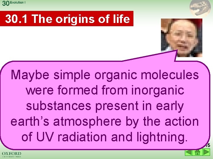 30. 1 The origins of life Maybe simple organic molecules were formed from inorganic