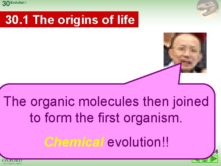 30. 1 The origins of life The organic molecules then joined to form the