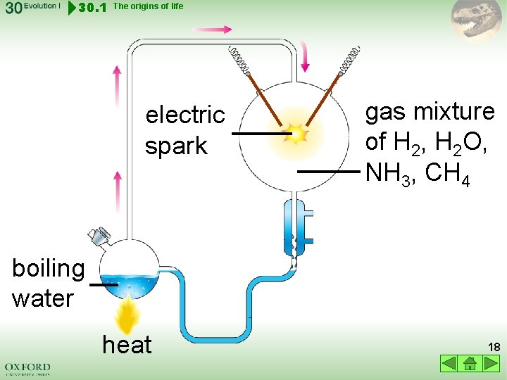 30. 1 The origins of life electric spark gas mixture of H 2, H