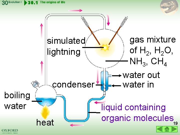 30. 1 The origins of life simulated lightning condenser boiling water heat gas mixture
