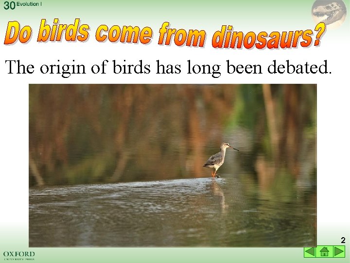 The origin of birds has long been debated. 2 