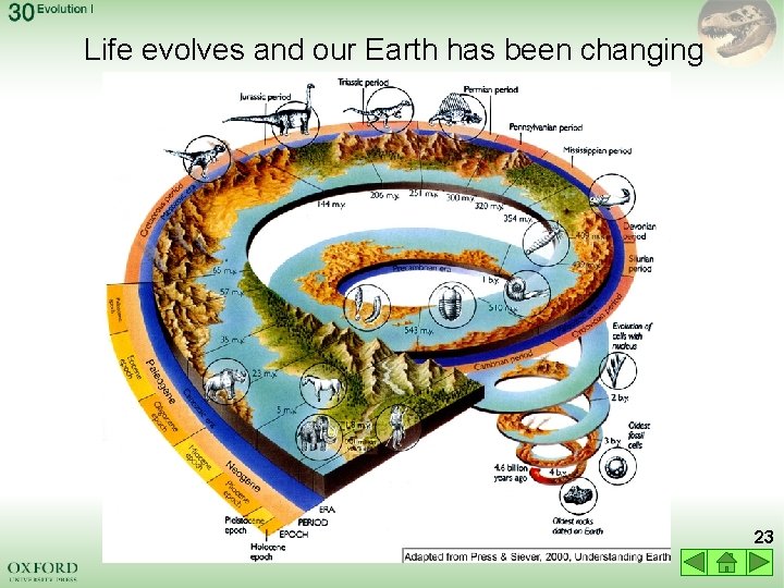 Life evolves and our Earth has been changing 23 