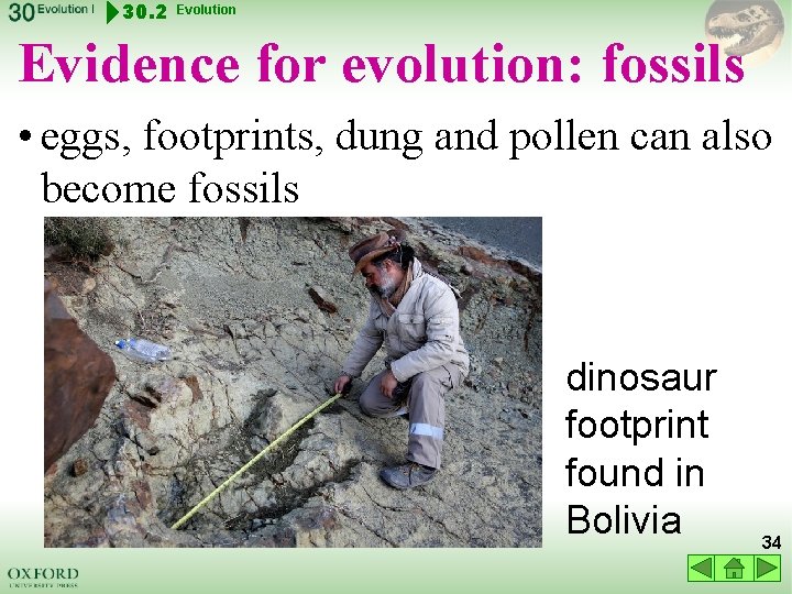 30. 2 Evolution Evidence for evolution: fossils • eggs, footprints, dung and pollen can