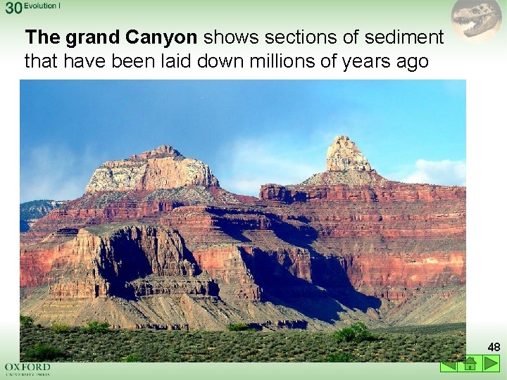 The grand Canyon shows sections of sediment that have been laid down millions of