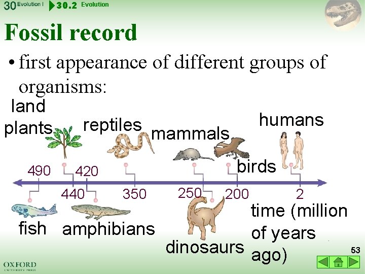 30. 2 Evolution Fossil record • first appearance of different groups of organisms: land