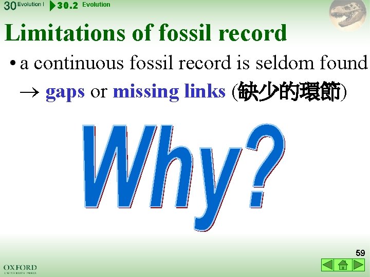 30. 2 Evolution Limitations of fossil record • a continuous fossil record is seldom