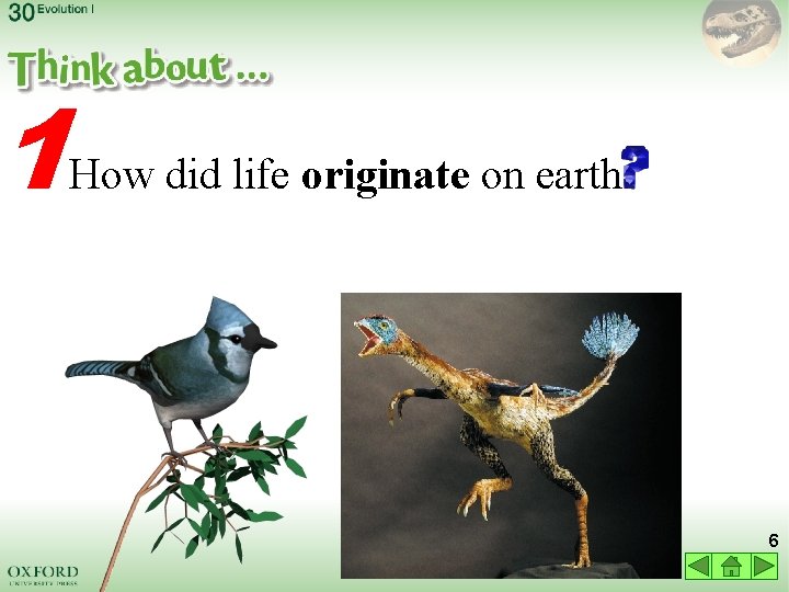 1 How did life originate on earth 6 