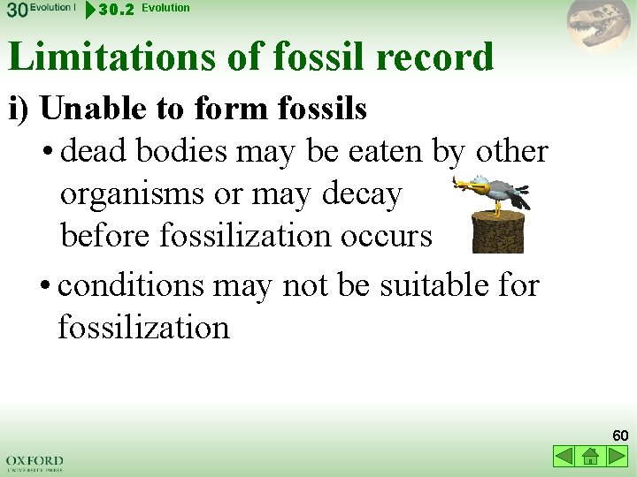 30. 2 Evolution Limitations of fossil record i) Unable to form fossils • dead