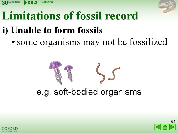 30. 2 Evolution Limitations of fossil record i) Unable to form fossils • some