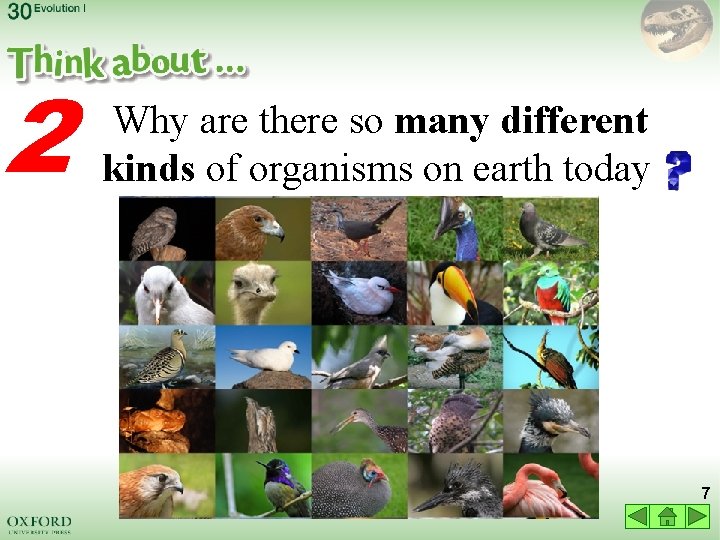 2 Why are there so many different kinds of organisms on earth today 7