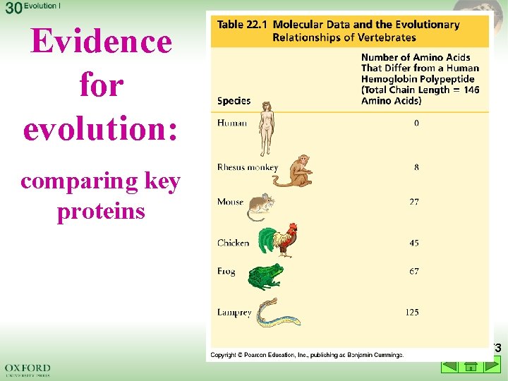 Evidence for evolution: comparing key proteins 73 
