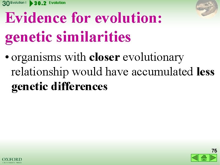 30. 2 Evolution Evidence for evolution: genetic similarities • organisms with closer evolutionary relationship