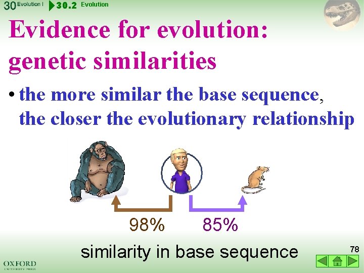 30. 2 Evolution Evidence for evolution: genetic similarities • the more similar the base