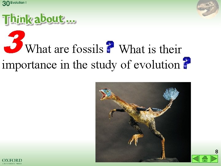 3 What are fossils What is their importance in the study of evolution 8