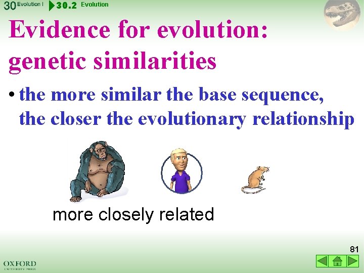 30. 2 Evolution Evidence for evolution: genetic similarities • the more similar the base