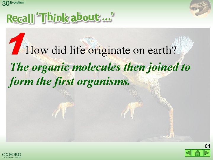 1 How did life originate on earth? The organic molecules then joined to form