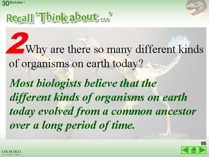 2 Why are there so many different kinds of organisms on earth today? Most