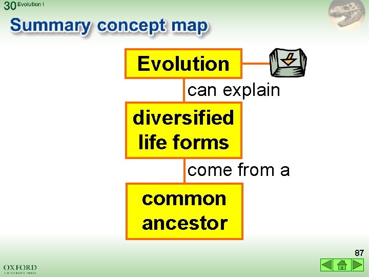 Evolution can explain diversified life forms come from a common ancestor 87 