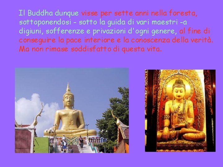 Il Buddha dunque visse per sette anni nella foresta, sottoponendosi - sotto la guida