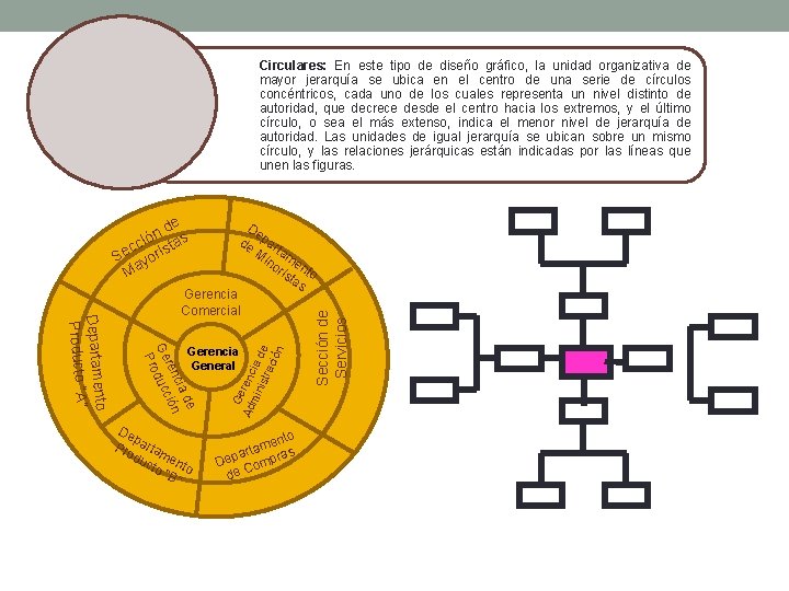 Circulares: En este tipo de diseño gráfico, la unidad organizativa de mayor jerarquía se