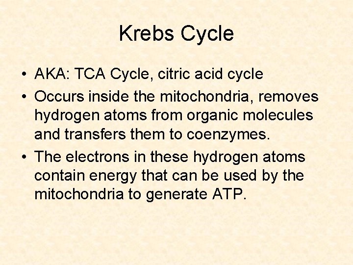 Krebs Cycle • AKA: TCA Cycle, citric acid cycle • Occurs inside the mitochondria,